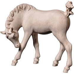 Potro cabeza rebajada